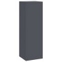 Soportes para Plantas de Exterior - Set de 3 de Acero Antracita de , Soportes para macetas - Ref: Foro24-865829, Precio: 94,2...