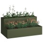 Macetero de jardín de 2 niveles 100x60x45 cm Verde oliva Acero de , Maceteros y jardineras - Ref: Foro24-865872, Precio: 105,...