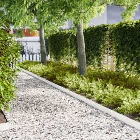 Comprar Bordes de Césped 50 pcs Blanco 100x0.5x15