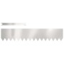 Bordes de Césped 10 pcs 100x0.5x20 cm Acero Inoxidable de , Ribetes y bordes para jardín - Ref: Foro24-865958, Precio: 117,21...