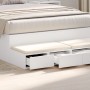 Cajones de Cama Blanco 120x36,5x16,5 cm Madera de Ingeniería de , Mesitas de noche - Ref: Foro24-866939, Precio: 79,68 €, Des...