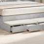Cajones de Cama  en Gris Concreto, 140x36.5x16.5 cm, Hechos de Madera Elaborada | Foro24.es | Tu tienda online para hogar, jardín y más Foro24.es