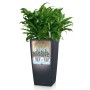 LECHUZA Macetero CUBICO Color 22 ALL-IN-ONE gris pizarra de , Maceteros y jardineras - Ref: Foro24-442069, Precio: 26,54 €, D...