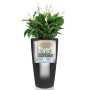 LECHUZA Macetero Rondo 40 ALL-IN-ONE carbón metalizado 15743 de , Maceteros y jardineras - Ref: Foro24-421461, Precio: 141,11...