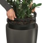 LECHUZA Macetero Rondo 40 ALL-IN-ONE carbón metalizado 15743 de , Maceteros y jardineras - Ref: Foro24-421461, Precio: 141,11...