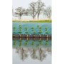 Nature Cubierta de suelo antimaleza verde 3,3x5 m de , Mallas antihierbas - Ref: Foro24-409329, Precio: 30,00 €, Descuento: %