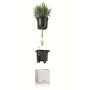 LECHUZA Jardineras 3 unidades Green Wall Home Kit blanco de , Maceteros y jardineras - Ref: Foro24-425619, Precio: 63,92 €, D...