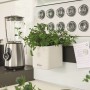 LECHUZA Jardineras 3 unidades Green Wall Home Kit blanco de , Maceteros y jardineras - Ref: Foro24-425619, Precio: 63,92 €, D...