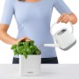 LECHUZA Jardineras 3 unidades Green Wall Home Kit blanco de , Maceteros y jardineras - Ref: Foro24-425619, Precio: 63,92 €, D...