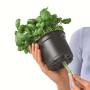 LECHUZA Jardineras 3 unidades Green Wall Home Kit blanco de , Maceteros y jardineras - Ref: Foro24-425619, Precio: 63,92 €, D...
