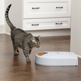 Comprar PetSafe Comedero para mascotas 5 comidas