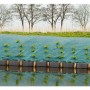 Nature Cubierta de suelo antimaleza verde 2x5 m de , Mallas antihierbas - Ref: Foro24-403707, Precio: 20,30 €, Descuento: %
