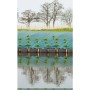 Nature Cubierta de suelo antimaleza verde 2x5 m de , Mallas antihierbas - Ref: Foro24-403707, Precio: 20,30 €, Descuento: %