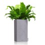 LECHUZA Macetero CANTO Stone 30 High ALL-IN-ONE gris piedra de , Maceteros y jardineras - Ref: Foro24-442070, Precio: 61,98 €...