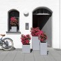 LECHUZA Macetero CANTO Stone 30 High ALL-IN-ONE gris piedra de , Maceteros y jardineras - Ref: Foro24-442070, Precio: 61,98 €...