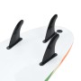 Tabla de surf 170 cm boomerang de , Tablas de surf - Ref: Foro24-91690, Precio: 129,65 €, Descuento: %