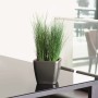 LECHUZA Macetero QUADRO LS 35 ALL-IN-ONE color carbón 16163 de , Maceteros y jardineras - Ref: Foro24-421479, Precio: 50,90 €...