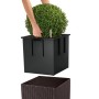 LECHUZA Macetero CUBE Cottage 40 ALL-IN-ONE color moca de , Maceteros y jardineras - Ref: Foro24-442086, Precio: 72,36 €, Des...