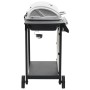 Barbacoa portátil de gas con 6 zonas plateada acero inoxidable de , Barbacoas - Ref: Foro24-276154, Precio: 319,67 €, Descuen...