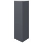 Jardinera triangular acero gris antracita 30x26x75 cm de , Maceteros y jardineras - Ref: Foro24-851147, Precio: 58,56 €, Desc...