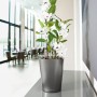 LECHUZA Maceta DELTINI ALL-IN-ONE carbón metálico de , Maceteros y jardineras - Ref: Foro24-443316, Precio: 21,77 €, Descuent...