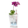 LECHUZA Maceta DELTINI ALL-IN-ONE carbón metálico de , Maceteros y jardineras - Ref: Foro24-443316, Precio: 21,77 €, Descuent...