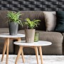LECHUZA Maceta DELTINI ALL-IN-ONE carbón metálico de , Maceteros y jardineras - Ref: Foro24-443316, Precio: 21,77 €, Descuent...