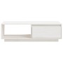 Mesa de centro de madera maciza de pino blanco 110x50x33,5 cm | Foro24.es | Tu tienda online para hogar, jardín y más Foro24.es