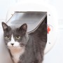 PetSafe Puerta de 4 posiciones para mascotas 280 blanca 5001 de , Puertas para animales domésticos - Ref: Foro24-411379, Prec...