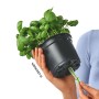 LECHUZA Jardinera de mesa OJO ALL-IN-ONE verde agua de , Maceteros y jardineras - Ref: Foro24-427372, Precio: 23,05 €, Descue...