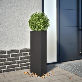 Jardinera triangular acero negro 30x26x75 cm de , Maceteros y jardineras - Ref: Foro24-851143, Precio: 57,61 €, Descuento: %