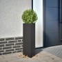 Jardinera triangular acero negro 30x26x75 cm de , Maceteros y jardineras - Ref: Foro24-851143, Precio: 57,61 €, Descuento: %