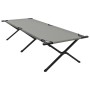 Cama de Sol Plegable con Bolsa de Transporte Gris Tejido Oxford 600D de , Catres - Ref: Foro24-42003189, Precio: 75,37 €, Des...