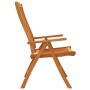 Sillas de jardín plegables 2 uds madera maciza de eucalipto de vidaXL, Sillas de jardín - Ref: Foro24-316069, Precio: 148,33 ...