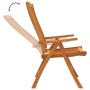Sillas de jardín plegables 2 uds madera maciza de eucalipto de vidaXL, Sillas de jardín - Ref: Foro24-316069, Precio: 148,33 ...
