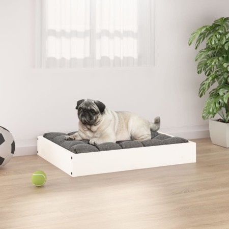 Cama para perros madera maciza de pino blanco 61,5x49x9 cm de , Camas para perros - Ref: Foro24-820852, Precio: 27,59 €, Desc...