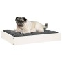 Cama para perros madera maciza de pino blanco 61,5x49x9 cm de , Camas para perros - Ref: Foro24-820852, Precio: 27,59 €, Desc...