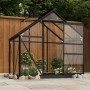 Invernadero de vidrio gris antracita aluminio 155x103x191cm de , Invernaderos - Ref: Foro24-3082333, Precio: 358,14 €, Descue...
