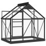 Invernadero de vidrio gris antracita aluminio 155x103x191cm de , Invernaderos - Ref: Foro24-3082333, Precio: 358,14 €, Descue...