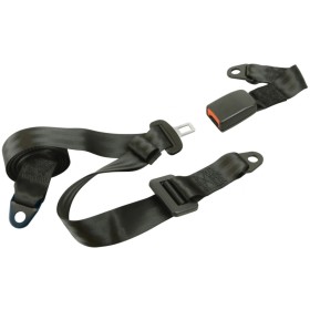 Carpoint Cinturón de seguridad de 3 puntos estático negra de , Cinturones de seguridad para vehículos - Ref: Foro24-439341, P...