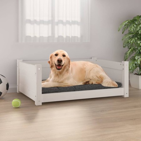 Cama para perros madera maciza de pino blanco 75,5x55,5x28 cm de , Camas para perros - Ref: Foro24-821453, Precio: 63,15 €, D...
