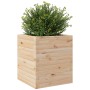 Jardinera de madera maciza de pino 40x40x46 cm en Macetas y jardineras | Comprar online en Foru.es