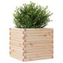 Jardinera de madera maciza de pino 50x50x46 cm en Macetas y jardineras | Comprar online en Foru.es