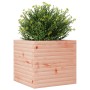 Jardinera de madera maciza Douglas 50x50x46 cm en Macetas y jardineras | Comprar online en Foru.es