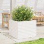 Jardinera de madera maciza de pino blanca 60x60x46 cm en Macetas y jardineras | Comprar online en Foru.es