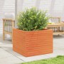 Jardinera de madera maciza de pino marrón cera 60x60x46 cm en Macetas y jardineras | Comprar online en Foru.es