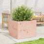 Jardinera de madera maciza Douglas 60x60x46 cm en Macetas y jardineras | Comprar online en Foru.es