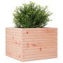 Jardinera de madera maciza Douglas 60x60x46 cm en Macetas y jardineras | Comprar online en Foru.es