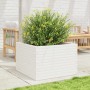 Jardinera madera maciza de pino blanco 70x70x46 cm en Macetas y jardineras | Comprar online en Foru.es