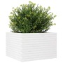 Jardinera madera maciza de pino blanco 70x70x46 cm en Macetas y jardineras | Comprar online en Foru.es